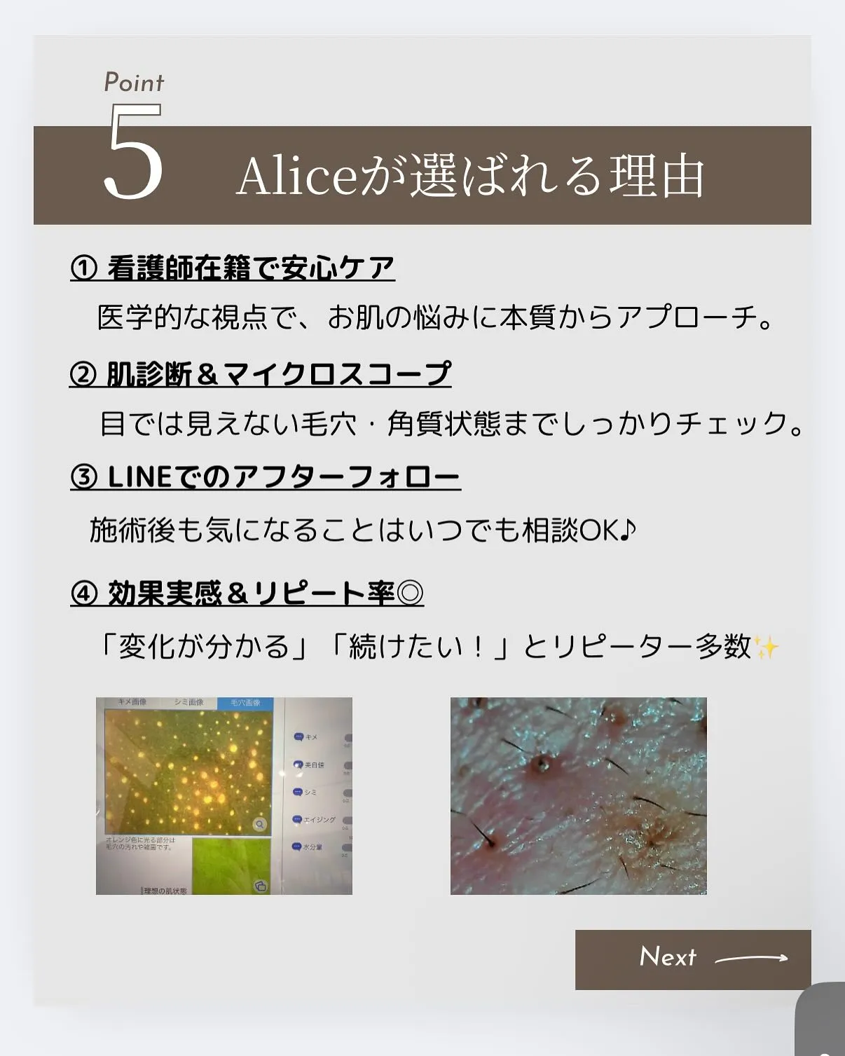 🌿 Aliceが選ばれる理由 🌿