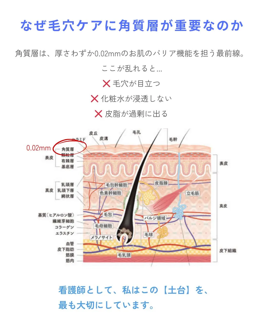 毛穴専門店の看護師が伝えたい✨お肌の基礎知識
