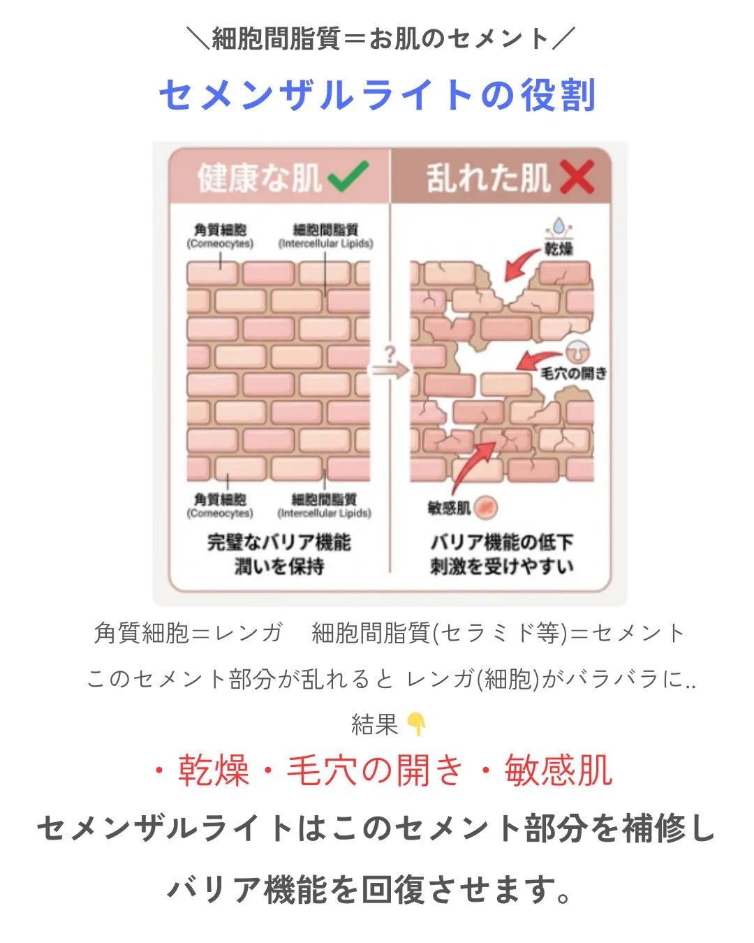 毛穴専門店の看護師が伝えたい✨お肌の基礎知識