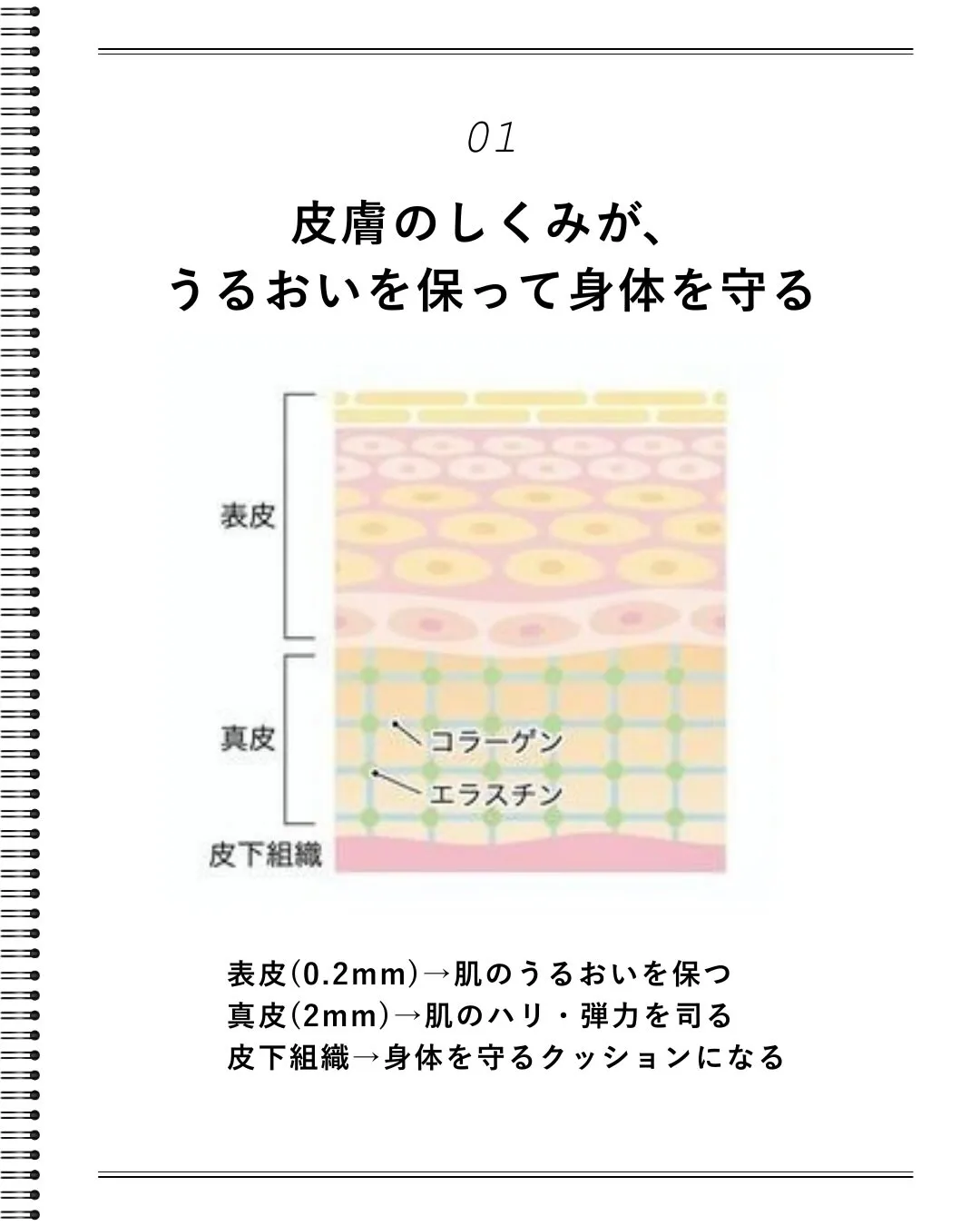 肌を知らなきゃ始まらない！看護師が教える「美肌の正体」✨