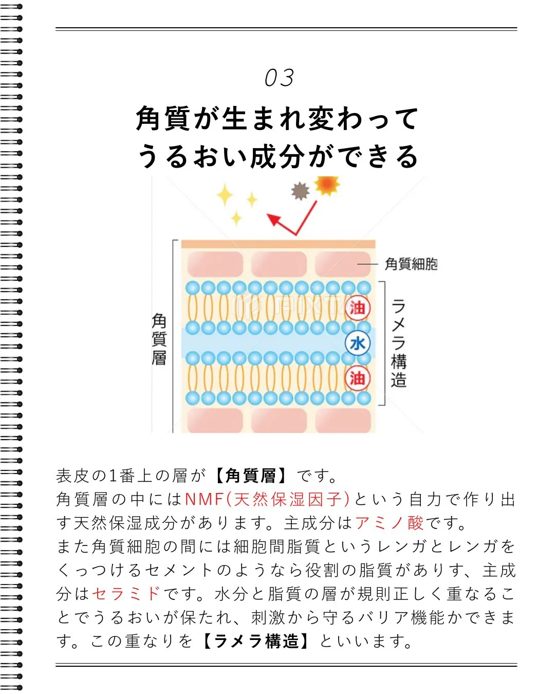 肌を知らなきゃ始まらない！看護師が教える「美肌の正体」✨