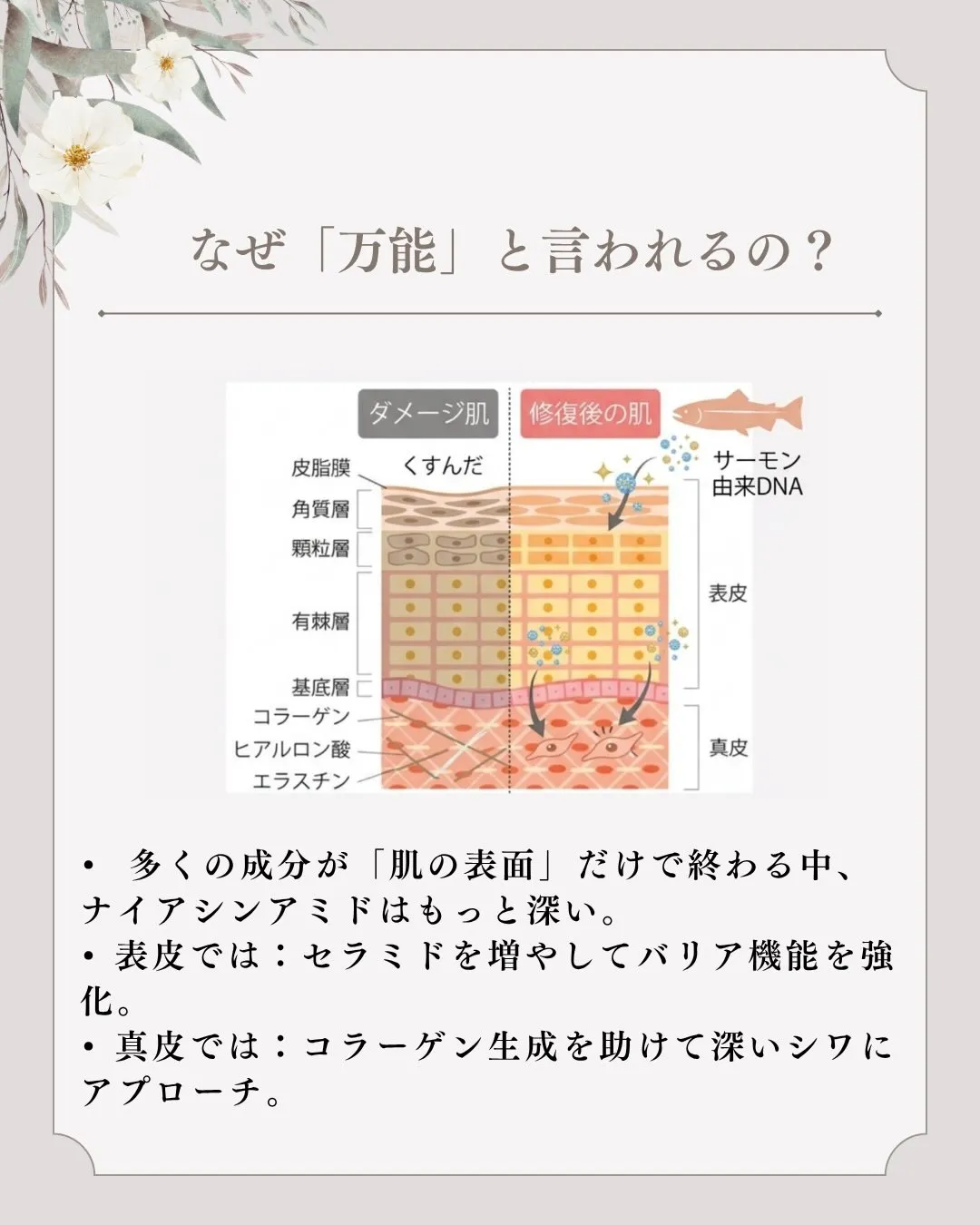 「シワも気になるし、シミも防ぎたい。